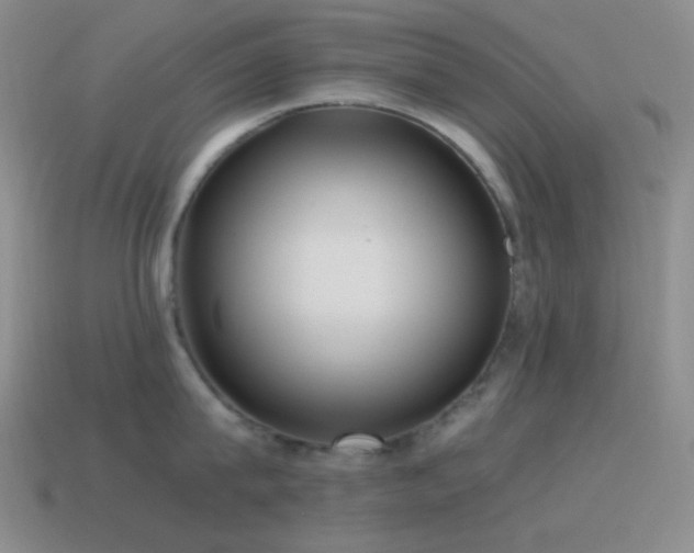 X0000115480815200911061216