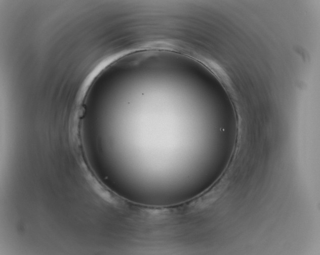 X0000115480816200911061216