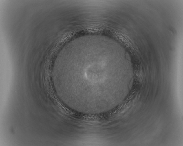 X0000115480817200911061215