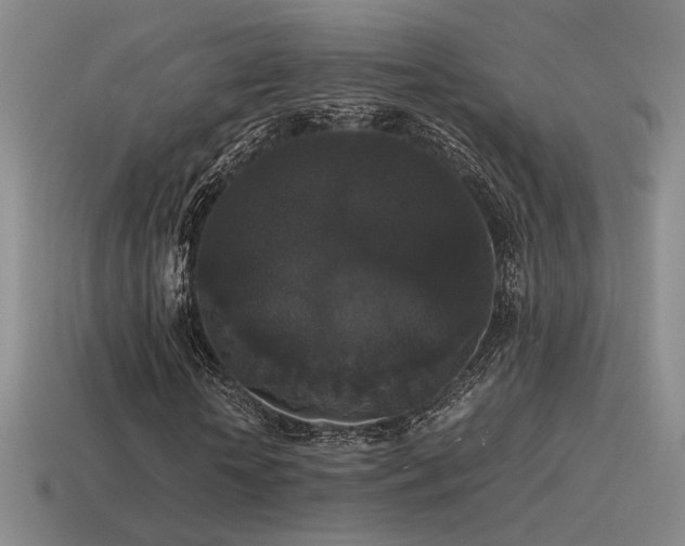 X0000115480818200911061215