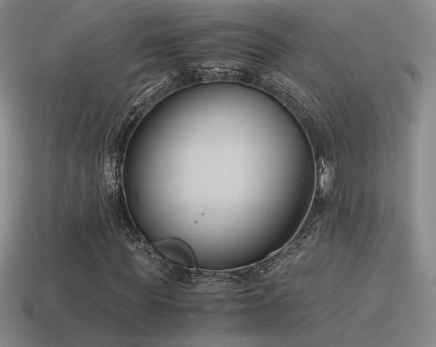 X0000115480819200911061215
