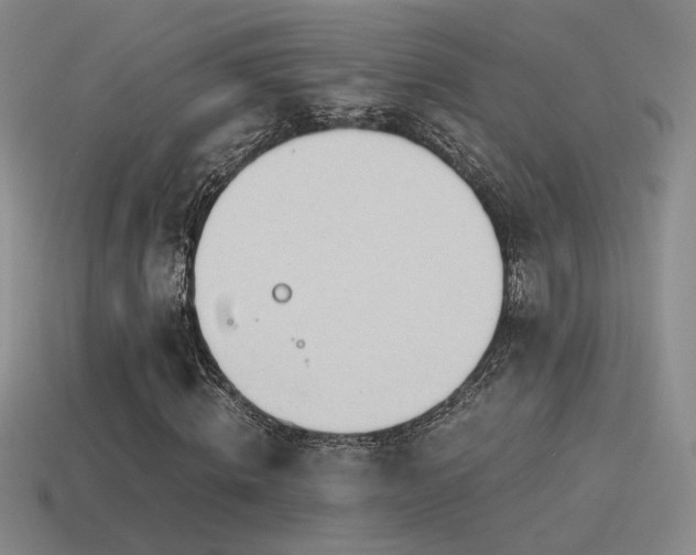 X0000115480820200911061215