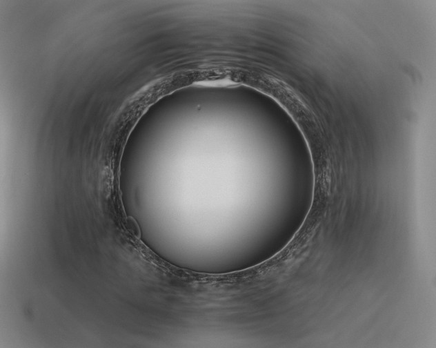 X0000115480821200911061215