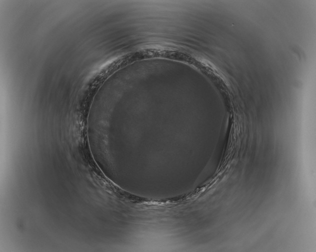 X0000115480822200911061215