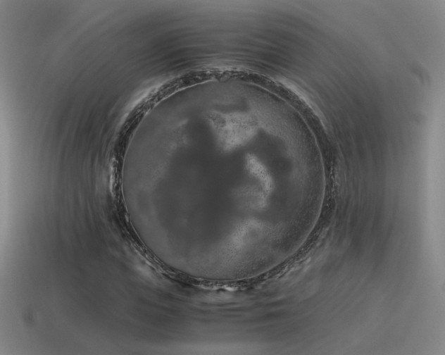 X0000115480823200911061215
