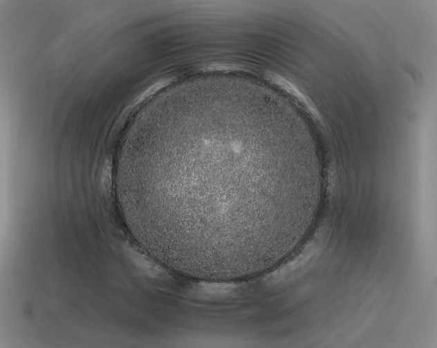 X0000115480825200911061215