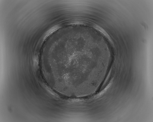 X0000115480826200911061215