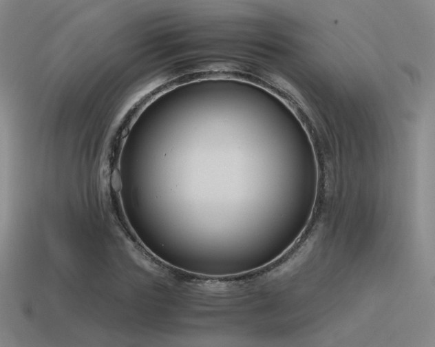 X0000115480827200911061215
