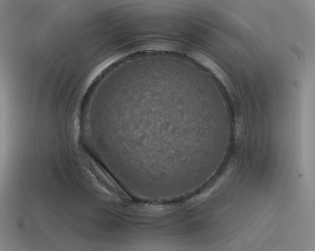 X0000115480829200911061215