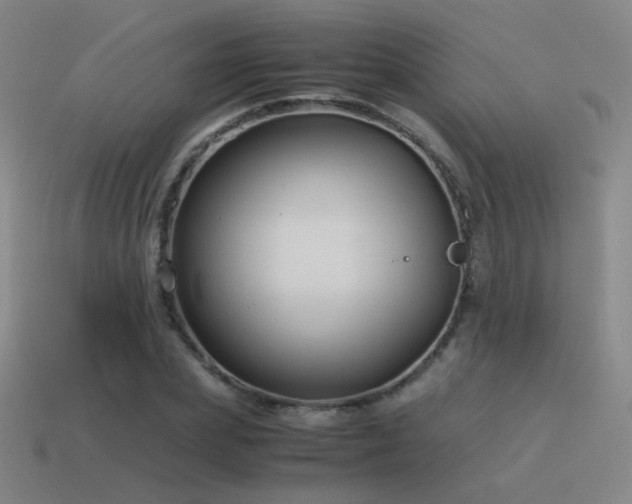 X0000115480831200911061215
