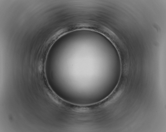 X0000115480833200911061216
