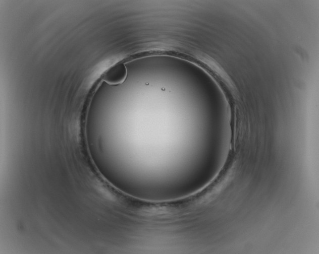 X0000115480834200911061216