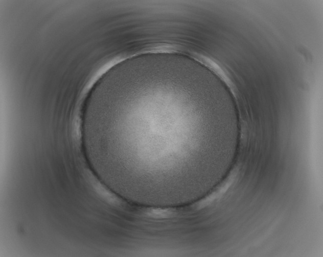 X0000115480835200911061216
