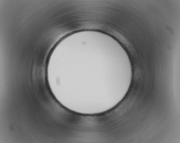 X0000115480836200911061216