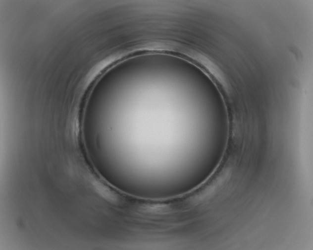 X0000115480837200911061216