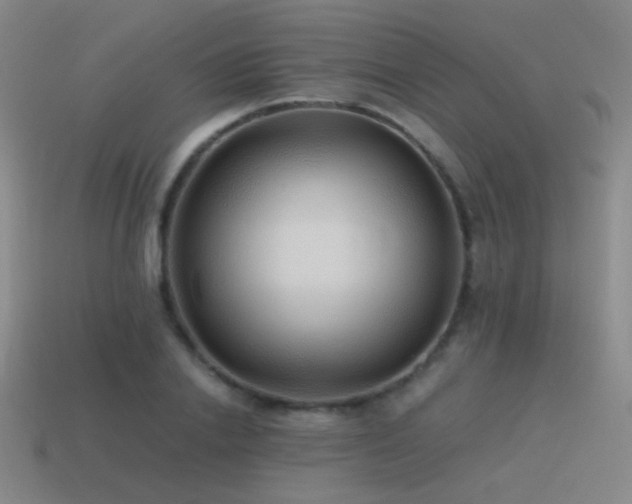 X0000115480838200911061216