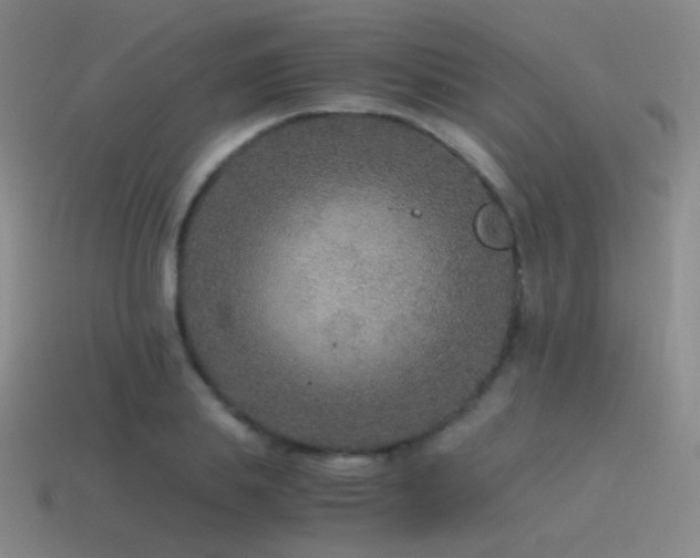 X0000115480839200911061216