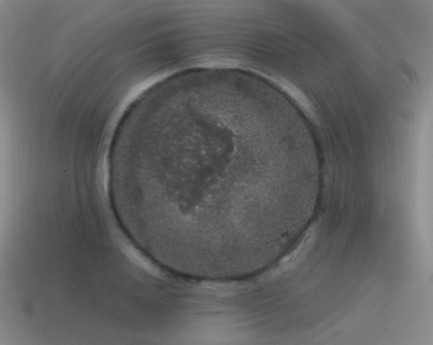 X0000115480840200911061216