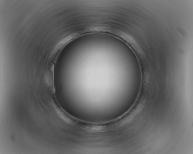 X0000115480841200911061216