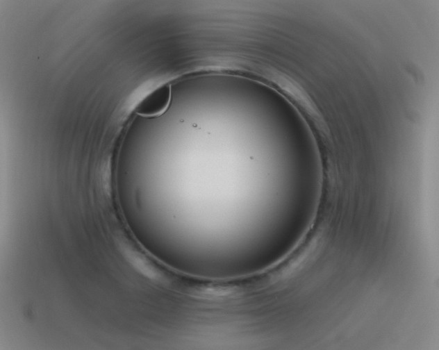 X0000115480842200911061216