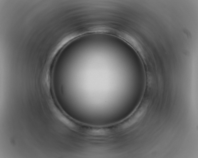 X0000115480843200911061216