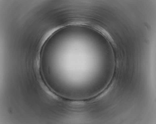 X0000115480844200911061216