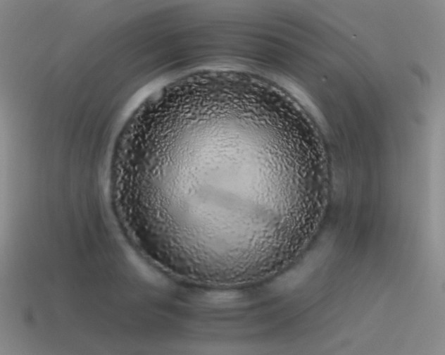 X0000115480845200911061216