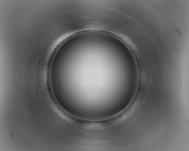 X0000115480846200911061216