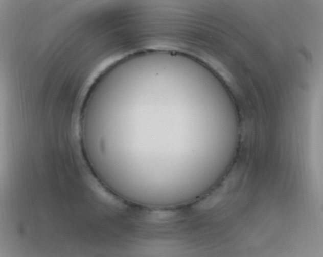 X0000115480848200911061216