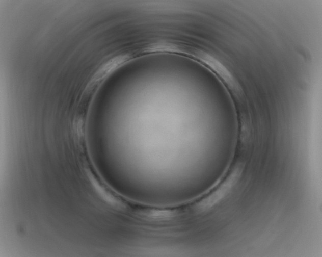 X0000115480849200911061216