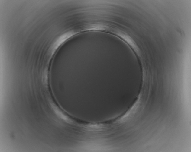 X0000115480850200911061216