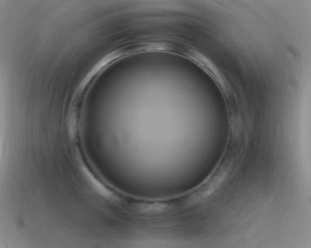 X0000115480851200911061216
