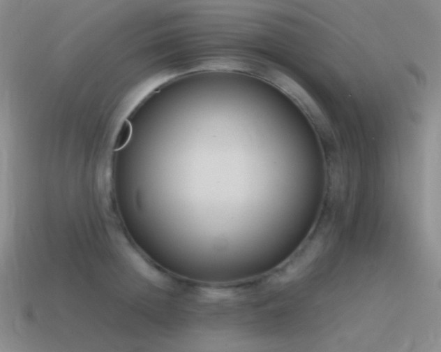 X0000115480852200911061216