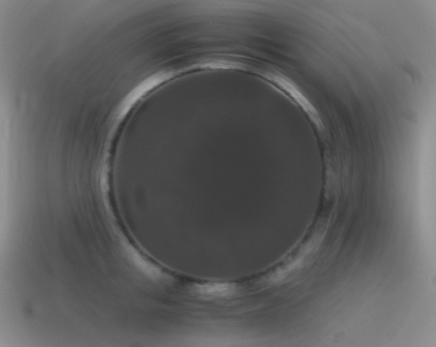 X0000115480853200911061216