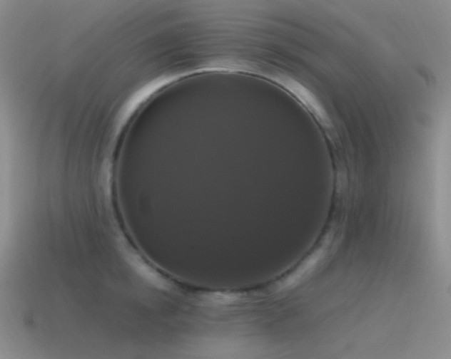 X0000115480854200911061216