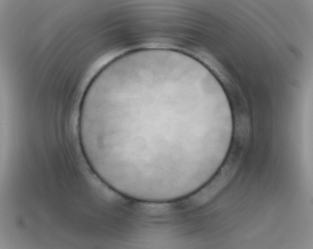X0000115480856200911061216