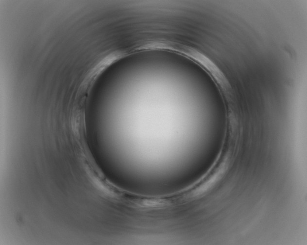 X0000115480857200911061216