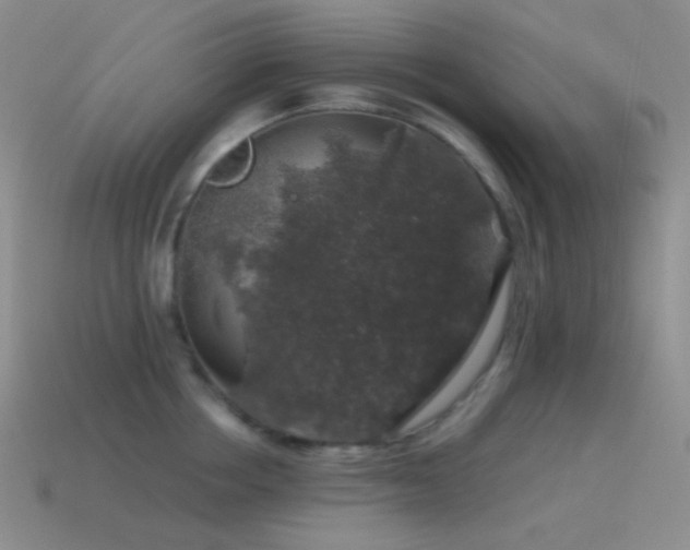 X0000115480858200911061216