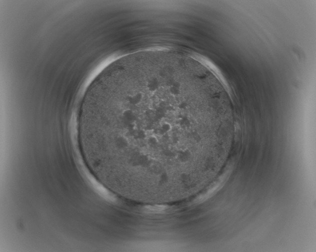 X0000115480859200911061216
