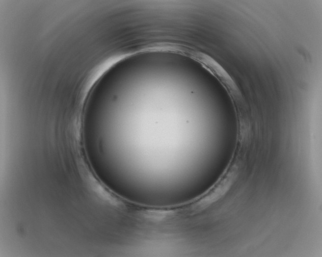 X0000115480860200911061216