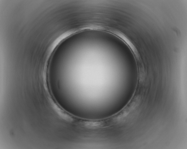 X0000115480861200911061216
