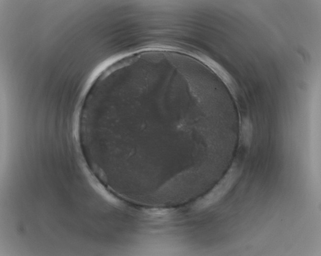 X0000115480862200911061216