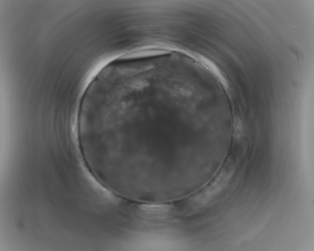 X0000115480863200911061216
