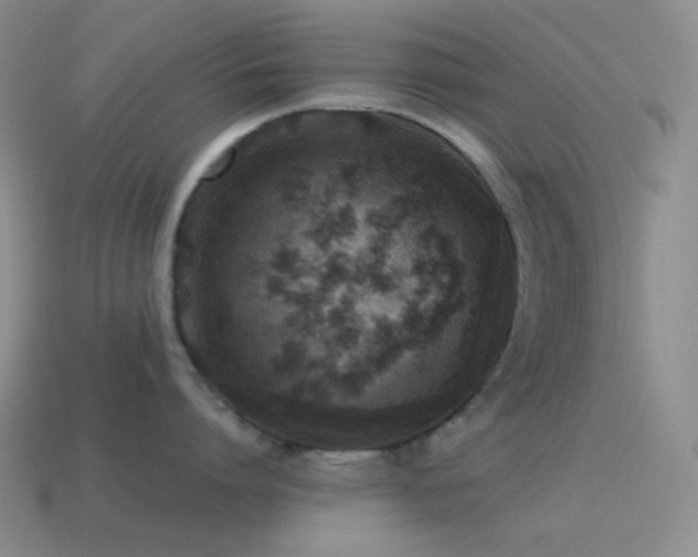 X0000115480864200911061216