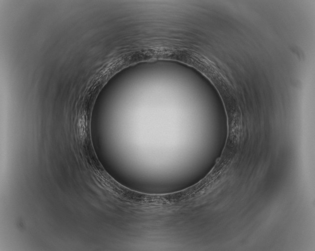 X0000115480866200911061215