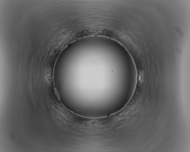 X0000115480867200911061215
