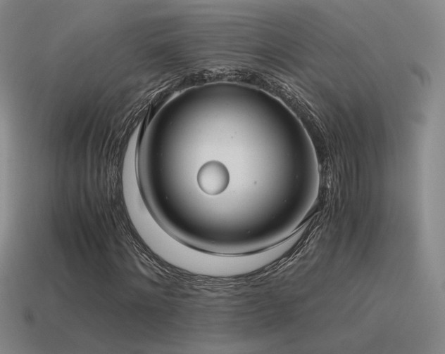 X0000115480868200911061215