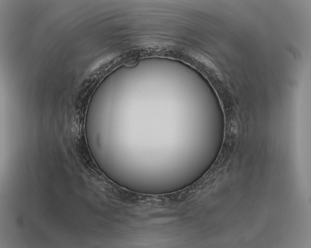 X0000115480869200911061215