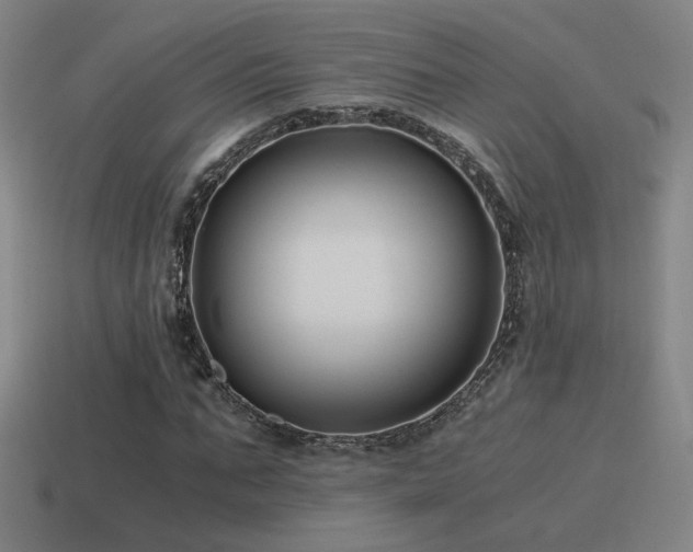 X0000115480871200911061215
