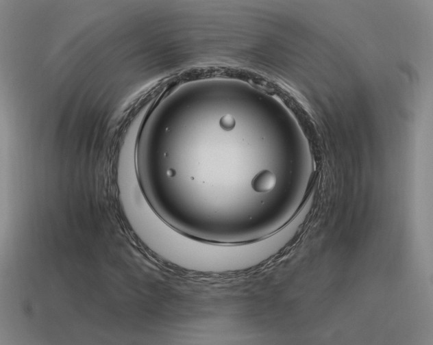X0000115480872200911061215